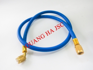 D&acirc;y nạp gas thường